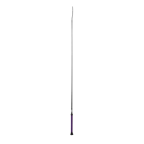 Weaver Livestock Basic Pig Show Whip, Hog Livestock Whip with Braided Nylon Handle, Leather Popper, Lightweight Braided Shaft - color: 36" - Purple