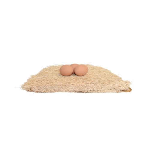 Little Giant® Poultry Nesting Pad - Fiber Pad Fits Most Chicken and Hen Nesting Boxes - Set of 10 Pads - Made in USA