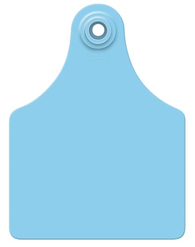 Maxi GLBL TAG BLU BLNK 25'S SO
