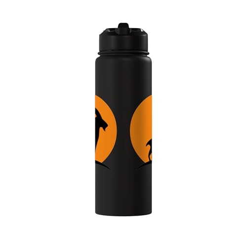Sunset Wild Goat Capricorn Lover Gift Adult Men Women Kids Stainless Steel Insulated Water Bottle - color: Black