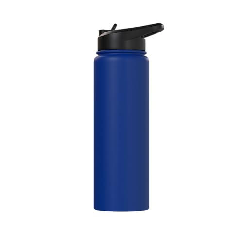 Dabbing Goat Funny Farm Animal Kids Retro Sunset Cool Stainless Steel Insulated Water Bottle - color: Royal Blue