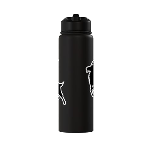 Sunset Wild Goat Capricorn Lover Gift Adult Men Women Kids Stainless Steel Insulated Water Bottle - color: Black