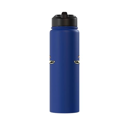 Goat Face Sunglasses Cool Farm Animal Men Boys Kids Women Stainless Steel Insulated Water Bottle - color: Royal Blue
