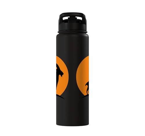 Sunset Wild Goat Capricorn Lover Gift Adult Men Women Kids Stainless Steel Insulated Water Bottle - color: Black