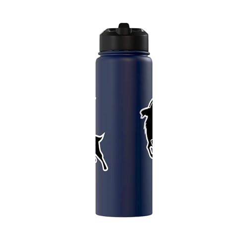 Sunset Wild Goat Capricorn Lover Gift Adult Men Women Kids Stainless Steel Insulated Water Bottle - color: Navy Blue