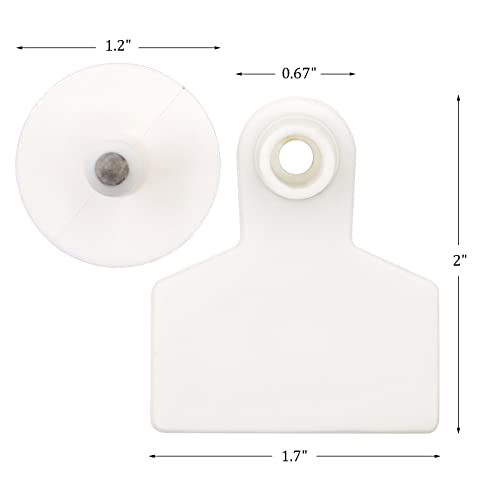 Blank Ear Tags 100 Pieces Blank Livestock Identification Ear Tags for Cattle Cow Pig Goat Sheep Dog (White) - color: White