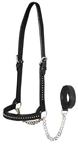 Derby Originals New and Improved Premium Show Spotted Flat Leather Cattle Show Halter with Matching Chain Lead - color: Black, size: Small (350-700lbs)