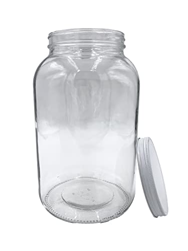 SS Strainers (Medium Strainer with Glass Jar Combo, 1 Gallon Jar Combo) - color: 1 Gallon Jar Combo, size: Medium