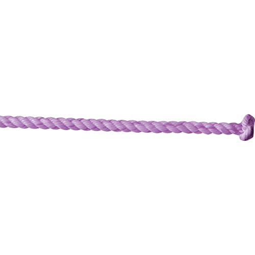 Nrs 2-Ply Goat String Purple