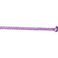 Nrs 2-Ply Goat String Purple