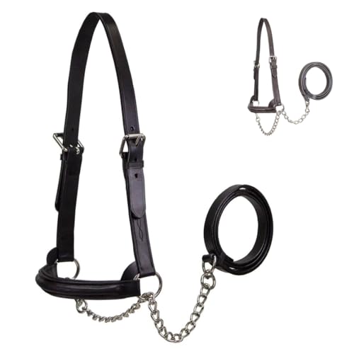 Derby Originals Premium Raised Padded Fancy Stitch Leather Cattle Show Halter with Matching Chain Lead - color: Black, size: Medium (650-1050lbs)
