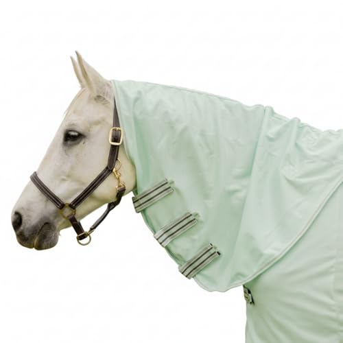 Equinavia Brisk Mesh Horse Fly Sheet with Neck Coverage, UV Protection | Cool Breathable Equine Fly Sheet for Horses, Horse Turnout Sheet Against Pests, Insects and Sun Exposure, Misty Jade - color: Misty Jade, size: 75 in