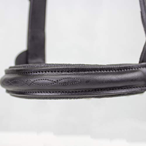 Derby Originals Premium Raised Padded Fancy Stitch Leather Cattle Show Halter with Matching Chain Lead - color: Havana, size: Large (950lbs-1500lbs)