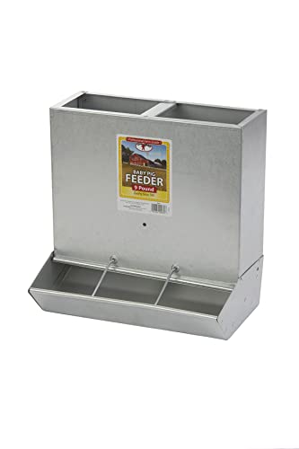 Little Giant® Piglet Feeder | 3-Hole Feeder | Galvanized Baby Pig Feeder