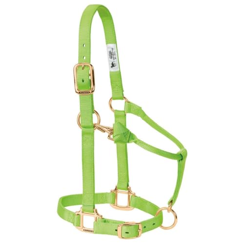 Weaver Leather Original Adjustable Nylon Horse Halter, Weanling/Pony, Purple