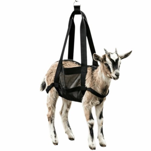 Animal Weighing Sling, Nylon Hanging Scale Bag with Adjustable Straps, 23.23 x 13.78 in, Black, for Lambs, Goats, Alpacas and Dogs