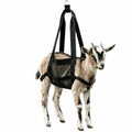 Animal Weighing Sling, Nylon Hanging Scale Bag with Adjustable Straps, 23.23 x 13.78 in, Black, for Lambs, Goats, Alpacas and Dogs