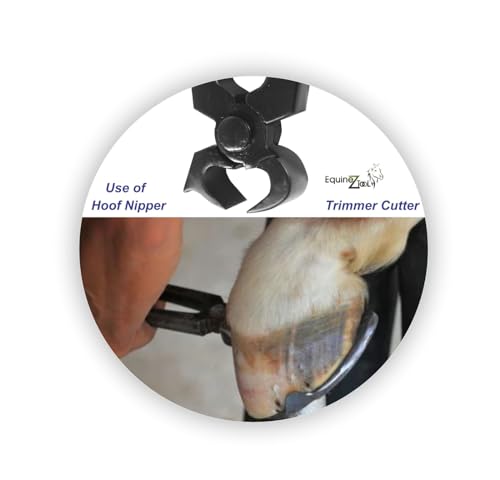 11.5” Professional Hoof Nipper Trimmer Cutter for Farriers – Premium Quality Stainless Steel Hoof Care Tools with Precision Cutting Edges, Durable Hoof Trimming & Shaping for Professional Use
