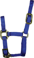 Hamilton Quality Adjustable Horse Halter, 100-200 lbs, Blue | Premium Quality 3/4" Triple Ply Nylon, Pony/Mini Donkey, Adjustable Chin Strap, Rolled Throat, Brass Plated Hardware - color: Blue, size: Pony, 100-200lbs