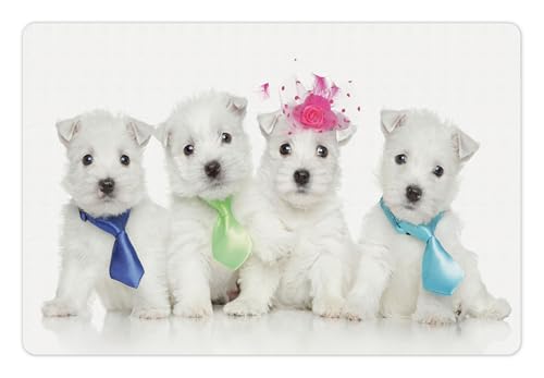 Lunarable Westie Pet Mat for Food and Water, Group of West Highland White Terrier Puppies on Plain Background Animal Pattern, Non-Slip Rubber Mat for Dogs and Cats, 18" X 12", Pink and White - color: Pink and White