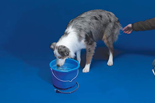 API 10 Quart Heated Bucket 10FB - size: 10 Quart