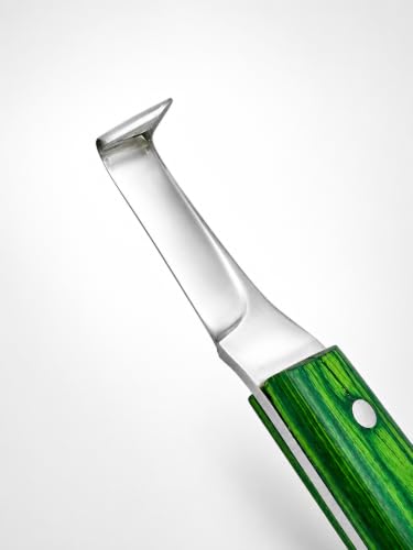 Right-Hand Straight Blade Hoof Knife with Rhino Hook, J2 420 Magnetic Stainless Steel, Ergonomic Green Handle, Farrier Horse Hoof Trimming Tool for Sole & Frog Paring