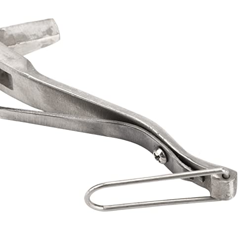 Ear Tag Plier Stainless Steel, Pig Ear Tag Pliers, Ear Tag Plier, Ergoesnomic Veterinary Ear Notcher Tool for Cattle, Sheep, Goats Identification (V Shape)