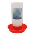 Plastic 1-Quart Chicken Waterer and Chick Drinker | Durable Watering Container for Chickens, Ducks, Ducklings, Chicks, Turkeys, Quail and More