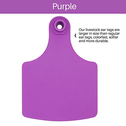 4.1" L×3.5" W Cattle Ear Tags Big Blank 100PCS Livestock Identification TPU | Cow Ear Tags for Cattle Laser Tags for Cows Pigs Hog Goats Sheep Calf Animal Goat Sheep Earring Tags Non-fading (Purple) - color: 1-purple