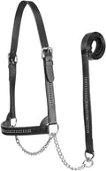Derby Originals New and Improved Premium Crystal Bling Rhinestone Inlay Flat Leather Cattle Show Halter with Matching Chain Lead - color: Black, size: Large (950lbs-1500lbs)