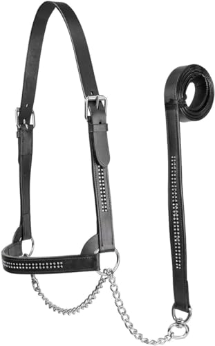 Derby Originals New and Improved Premium Crystal Bling Rhinestone Inlay Flat Leather Cattle Show Halter with Matching Chain Lead - color: Black, size: Large (950lbs-1500lbs)
