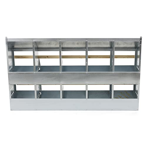 Brower 2-Tier 10-Hole Galvanized Steel Chicken Nesting Box, Silver, 2-Pack | Holds 50 to 60 Hens per Unit, Hinged Folding Perches, Ventilation Holes, Removable Bottoms, Slanted Roof