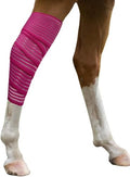 Elastic Polo Leg Wrap Compression Bandage for Horses, Dogs, Cats, Sheep, Cow, Dog Wound Care, Vet Wrap - color: Red