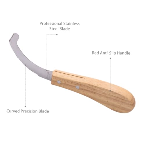 Bot Egg Knife for Horses, Precision Grooming for Bot Egg Removal Stainless Steel Blade with Wooden Handle Horse Equine Tack Care Farrier Tool