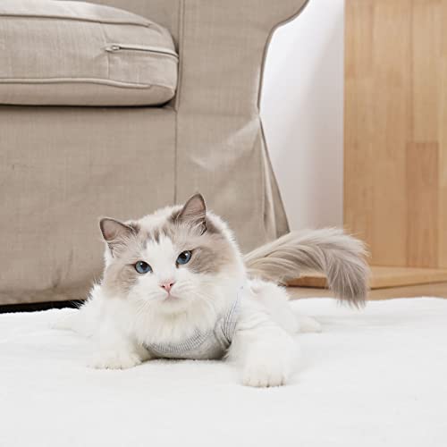 Cat Recovery Suit for Male and Female Surgical Post Surgery Soft Cone Onesie Shirt Clothes Neuter Licking Protective Diapers Outfit Cover Kitten Spay Collar(M, White) - color: White, size: Medium