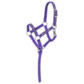 Tough1 I Love My Mini Nylon Halter - color: Purple, size: Medium