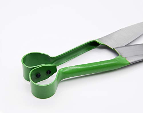 Sheep Shear Grass Shear Alpaca Shears R Shaped Design For Large Thick-Haired Animal Grooming (Green) - color: Green