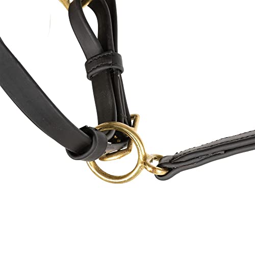Dura-Tech All Weather Trail Halter for Horses/Bridle Combo | Versatile Horse Riding Essential | All-Weather Endurance | Effortless Conversion