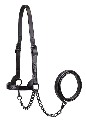 Derby Originals Black Midnight All Black Premium Flat Fancy Stitch Leather Cattle Show Halter with Matching Chain Lead - size: Medium (650-1050lbs)