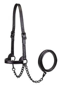 Derby Originals Black Midnight All Black Premium Flat Fancy Stitch Leather Cattle Show Halter with Matching Chain Lead - size: Large (950lbs-1500lbs)