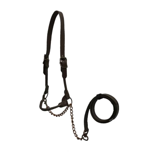 Derby Originals Bronze Beauty Rolled Leather Cattle Show Halter, Small/Medium/Large, Adjustable Fit with 48" Lead and 14" Chain, Durable Bronze Hardware, Ideal for Shows, 1-Year Warranty