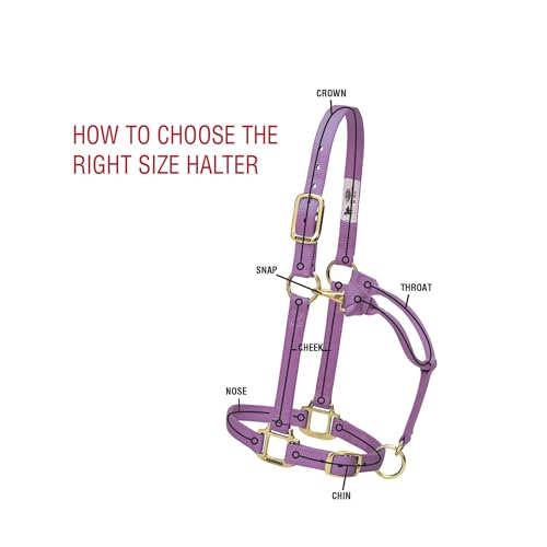 Weaver Leather Original Non-Adjustable Nylon Horse Halter, Hunter Green, Yearling