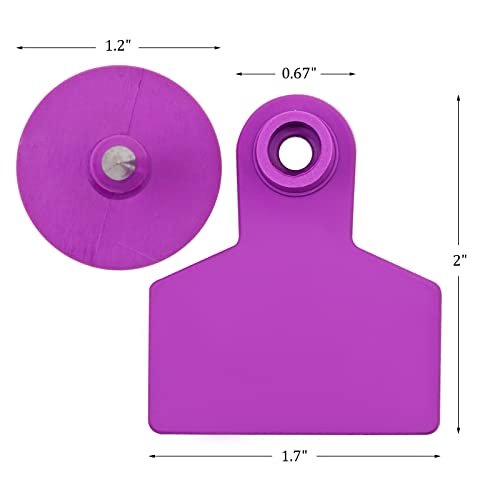 Blank Ear Tags 100 Pieces Livestock Identification Lable Blank Livestock Ear Tags for Cattle Cow Pig Goat Sheep Dog (Purple) - color: Purple