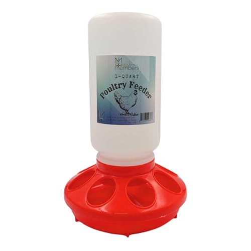 Chick Feeder 1-Quart Capacity for All Small Poultry | Durable Feeding Container for Baby Chicks, Chickens, Ducklings, Baby Turkeys, Quail and More