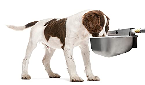 Nelson Rust Proof Stainless Steel Outdoor Automatic Dog Waterer Bowl | Rust-Proof, Auto Float Valve, Quick Hose Hookup, Easy Clean, For Dogs, Livestock & Farm Animals, Fresh Water