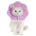 Avont Cat Cone XS Adjustable Soft E-Collar, Purple | XS fits 4.0-6.5" Depth 3.4" soft breathable anti-lick water-resist easy-clean - color: Purple, size: XS(Neck:4.0"-6.5")