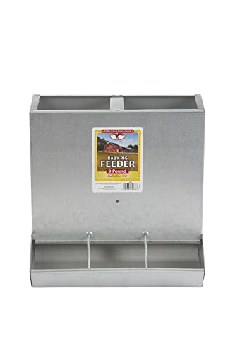 Little Giant® Piglet Feeder | 3-Hole Feeder | Galvanized Baby Pig Feeder