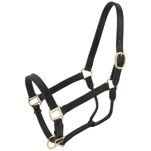 Royal King Leather Stable Halter - color: Black