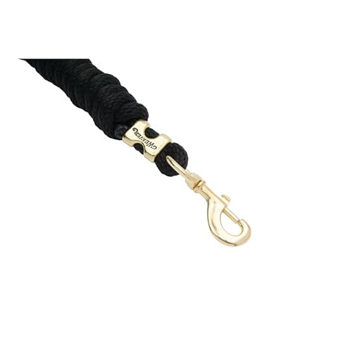 Weaver Equine Poly Lead Rope with Solid Brass Snap Hook, Measures 5/8"" x 10'