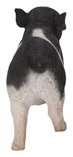 Hi-Line Gift Baby Pig Standing - Black and White